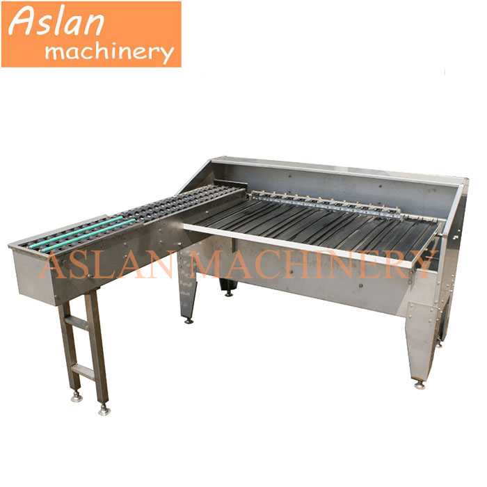 egg grading machine/egg sorter/egg grader